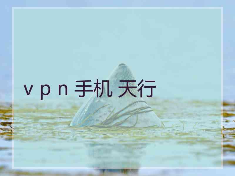 v p n 手机 天行