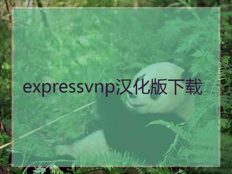 expressvnp汉化版下载