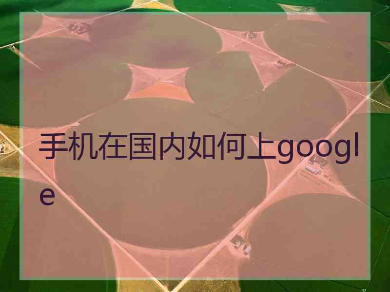 手机在国内如何上google