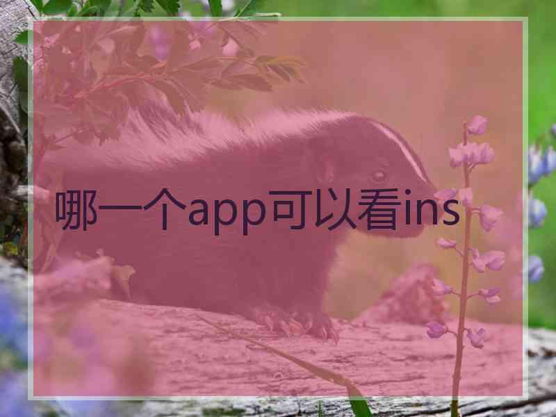 哪一个app可以看ins