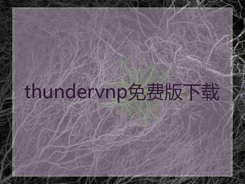 thundervnp免费版下载