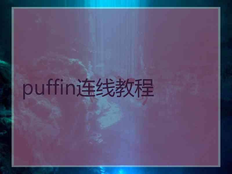 puffin连线教程