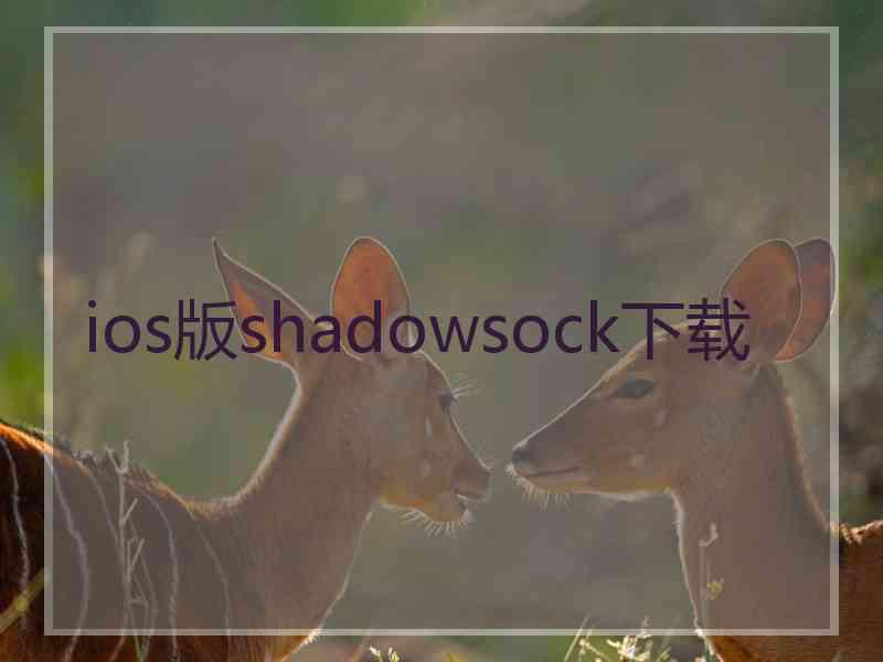 ios版shadowsock下载