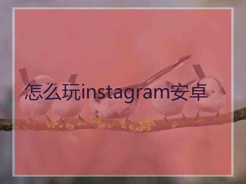 怎么玩instagram安卓