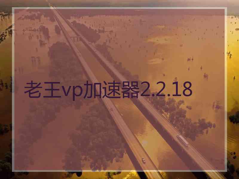 老王vp加速器2.2.18