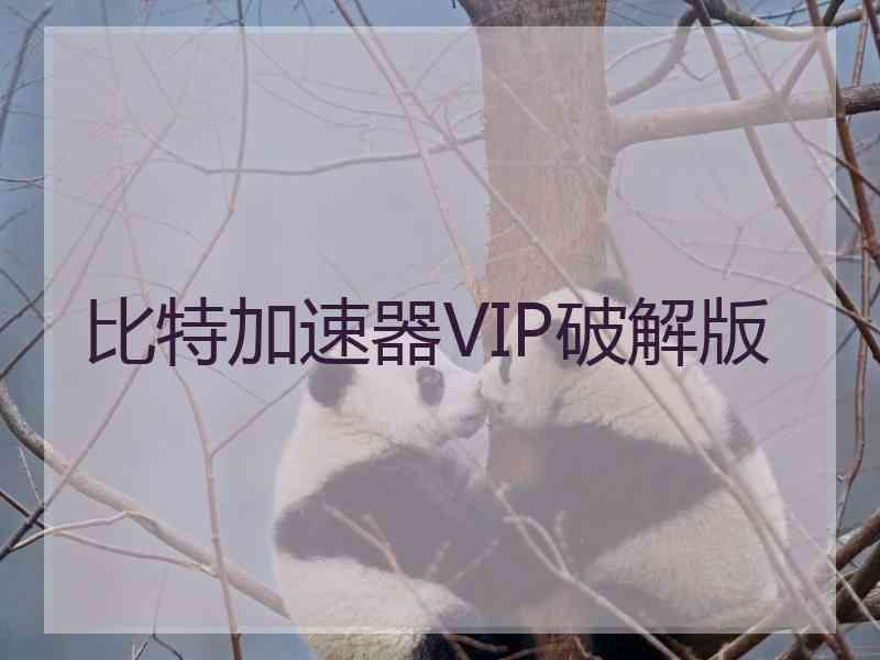 比特加速器VIP破解版