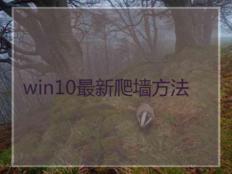 win10最新爬墙方法