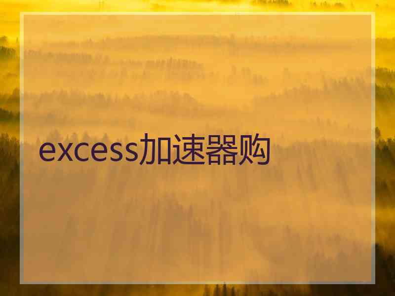 excess加速器购