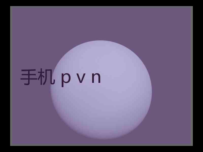 手机 p v n