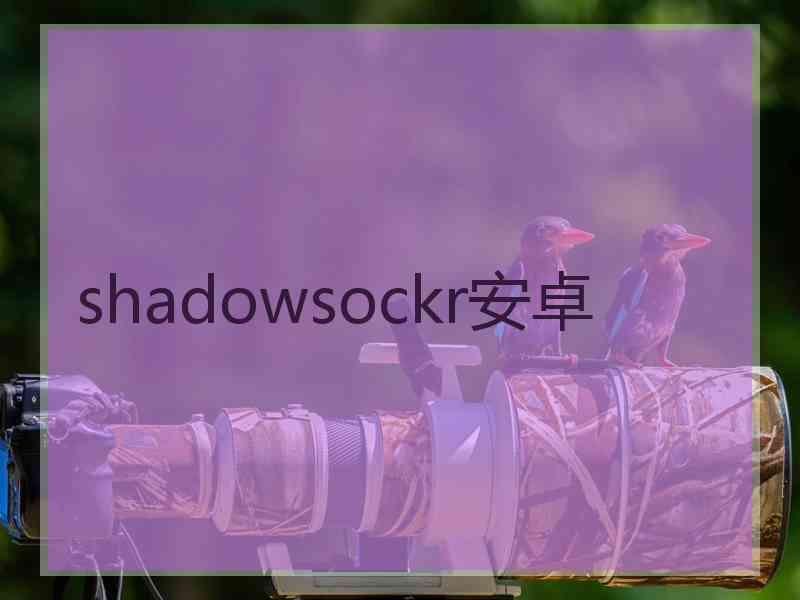 shadowsockr安卓