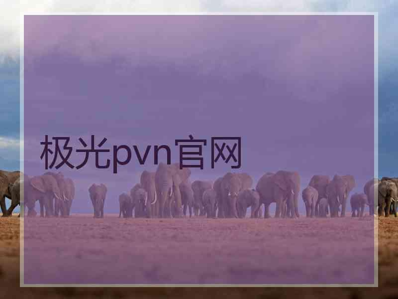 极光pvn官网