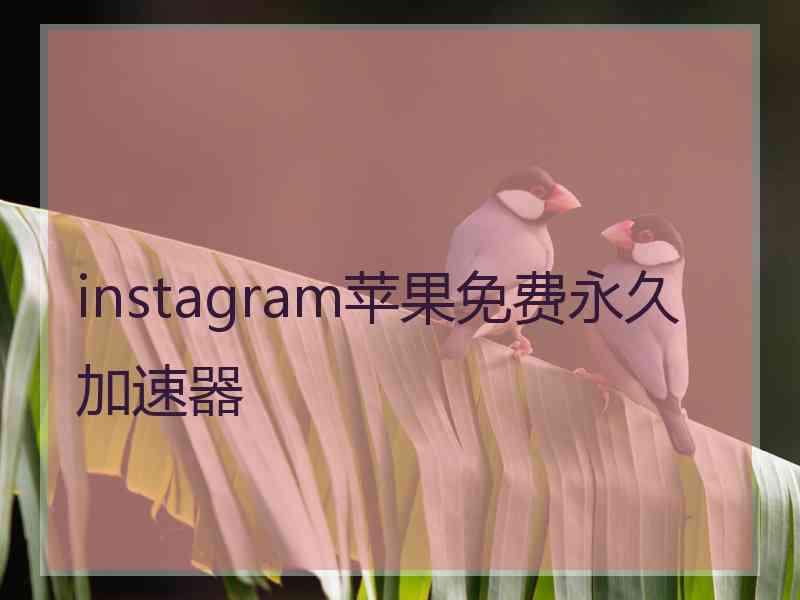 instagram苹果免费永久加速器