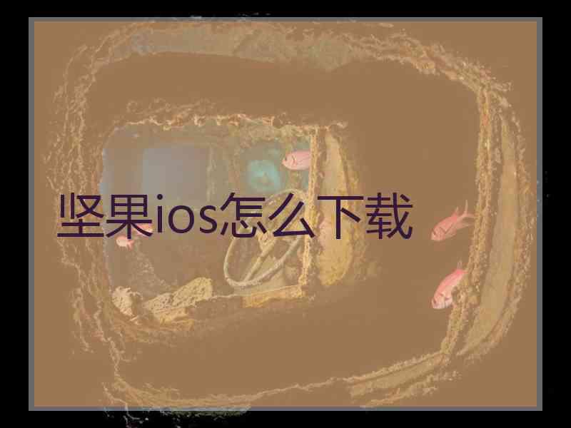 坚果ios怎么下载