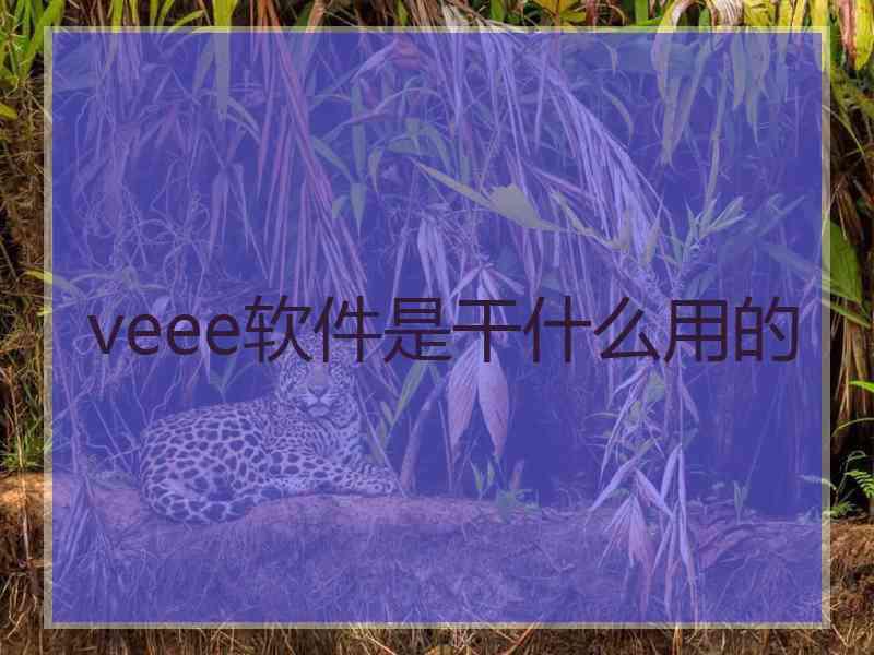 veee软件是干什么用的