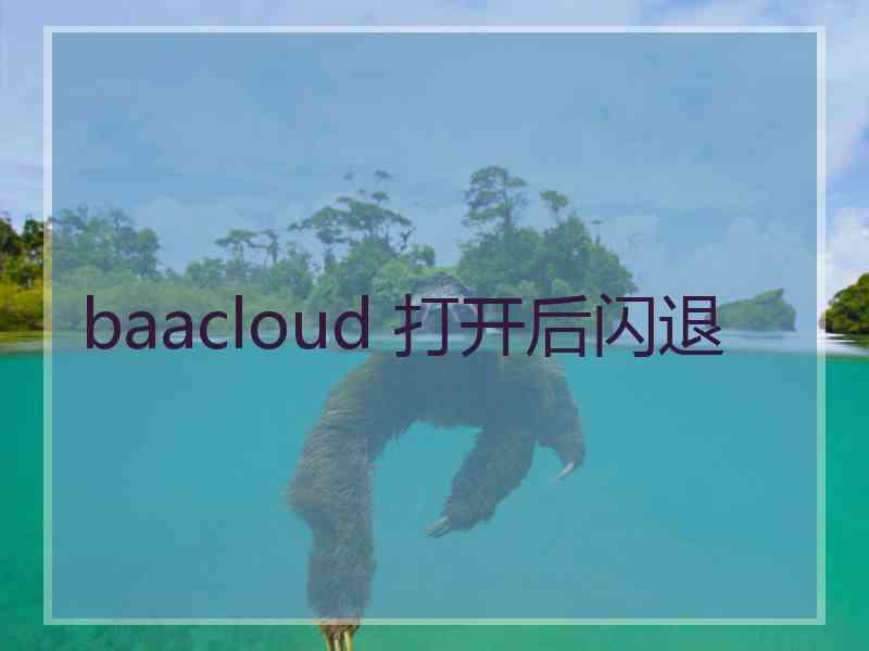 baacloud 打开后闪退