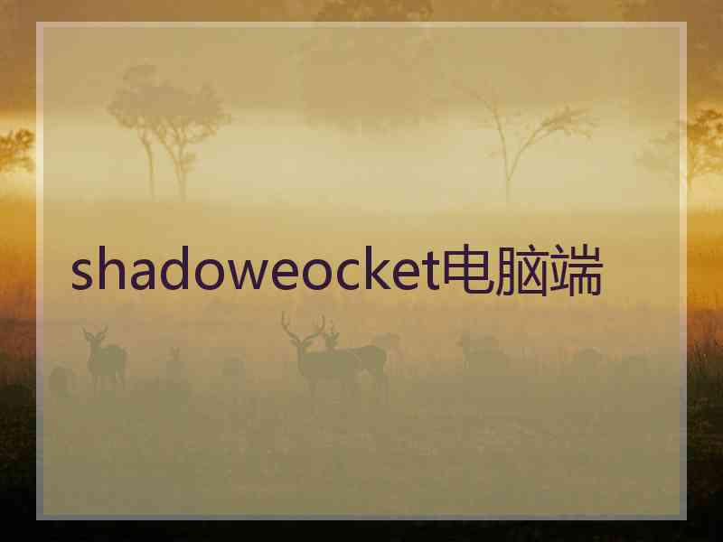 shadoweocket电脑端