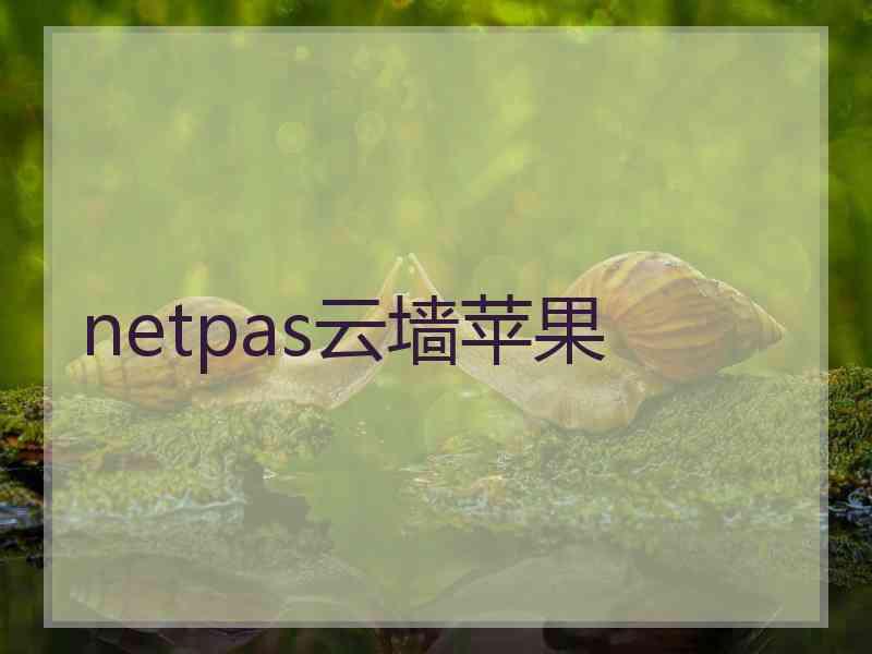 netpas云墙苹果