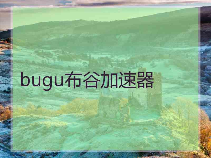 bugu布谷加速器