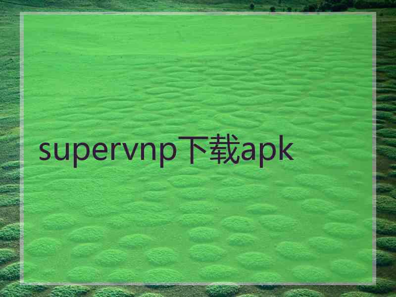 supervnp下载apk