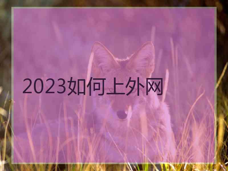 2023如何上外网