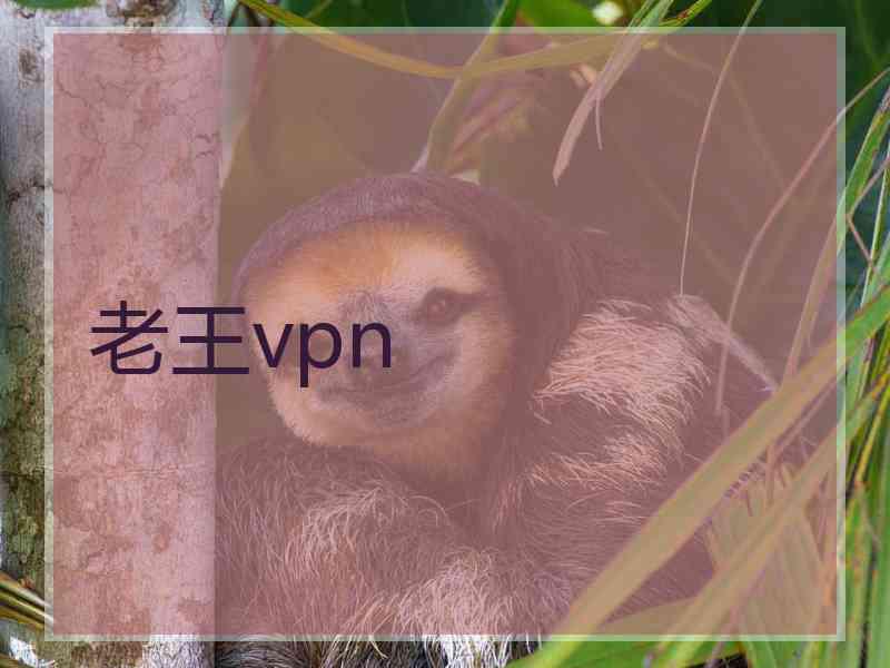 老王vpn