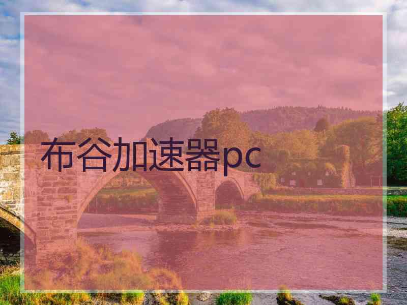 布谷加速器pc