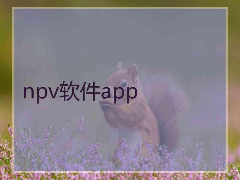 npv软件app