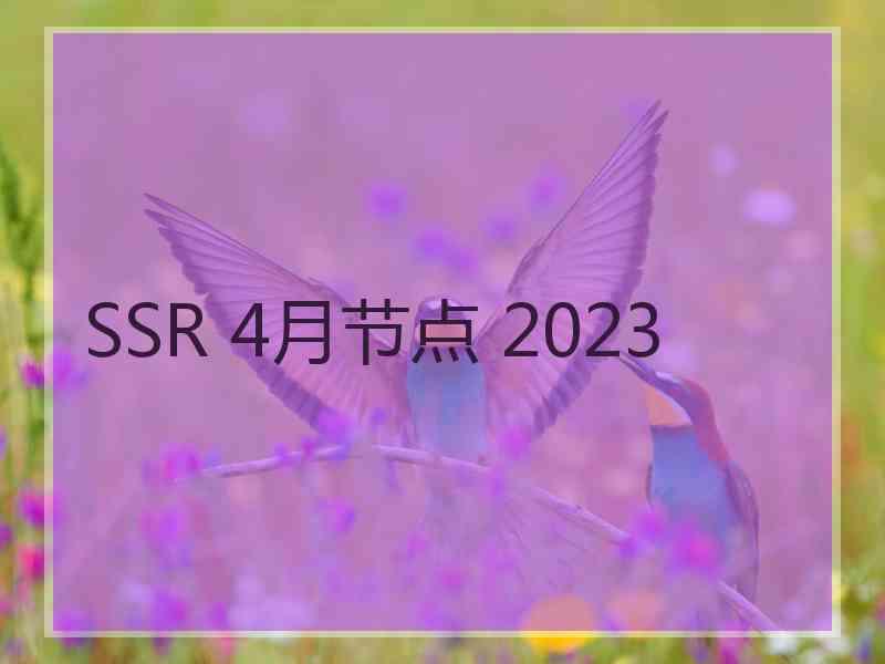 SSR 4月节点 2023