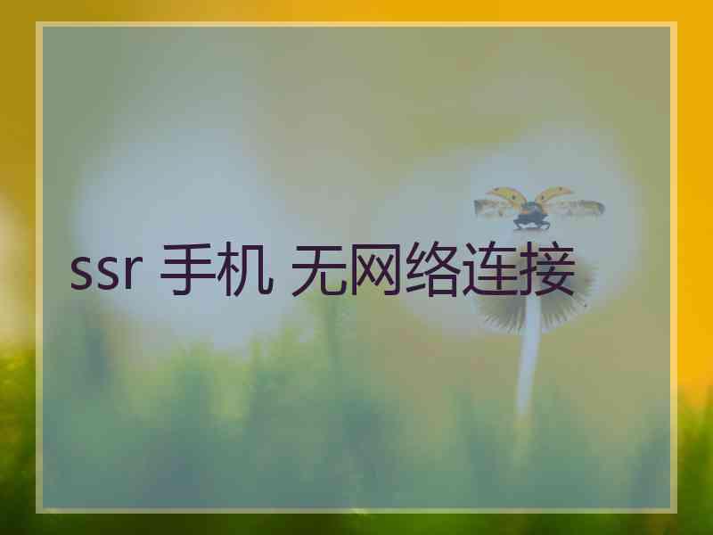 ssr 手机 无网络连接