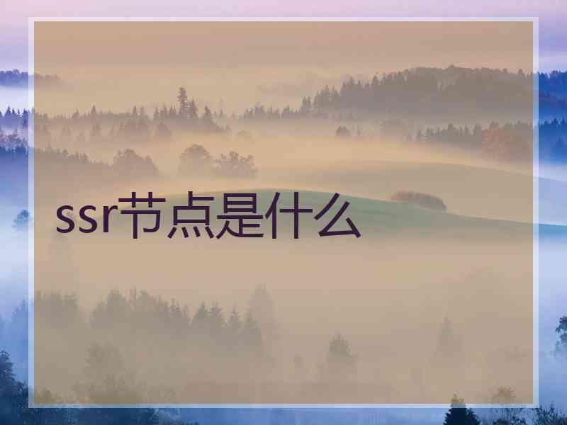 ssr节点是什么