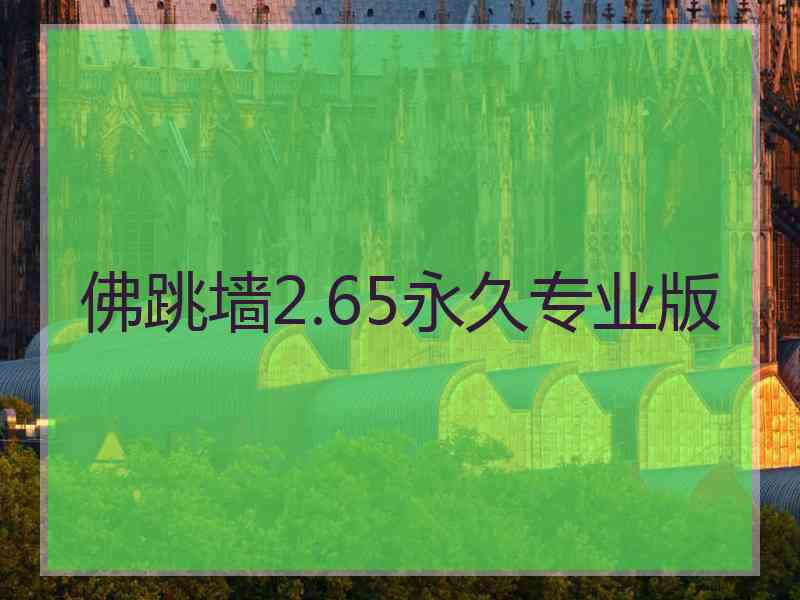 佛跳墙2.65永久专业版