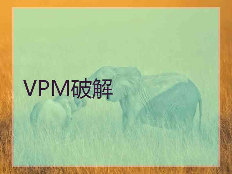 VPM破解