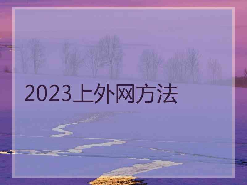 2023上外网方法