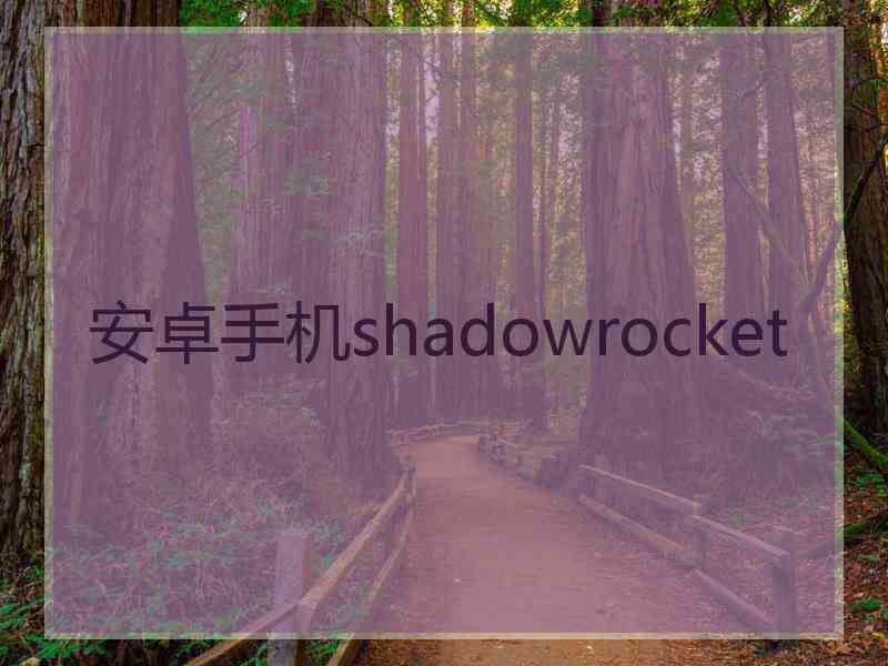 安卓手机shadowrocket