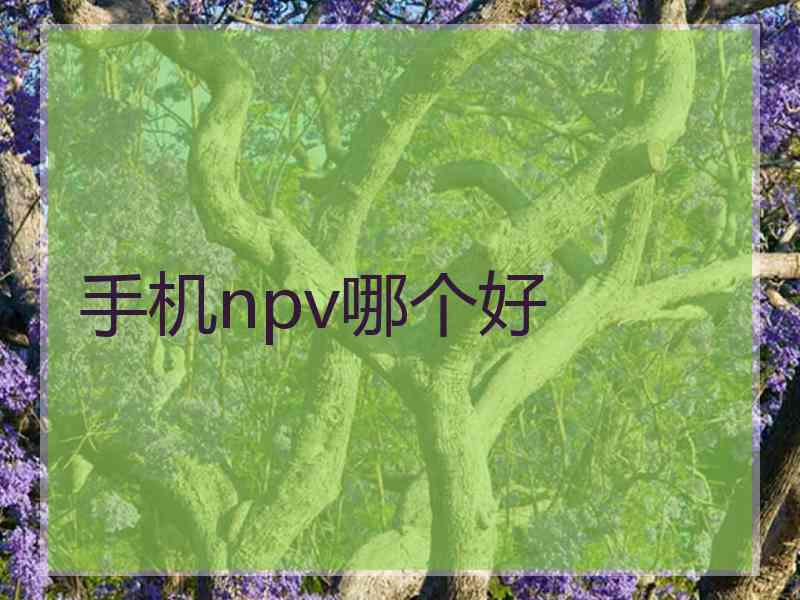 手机npv哪个好