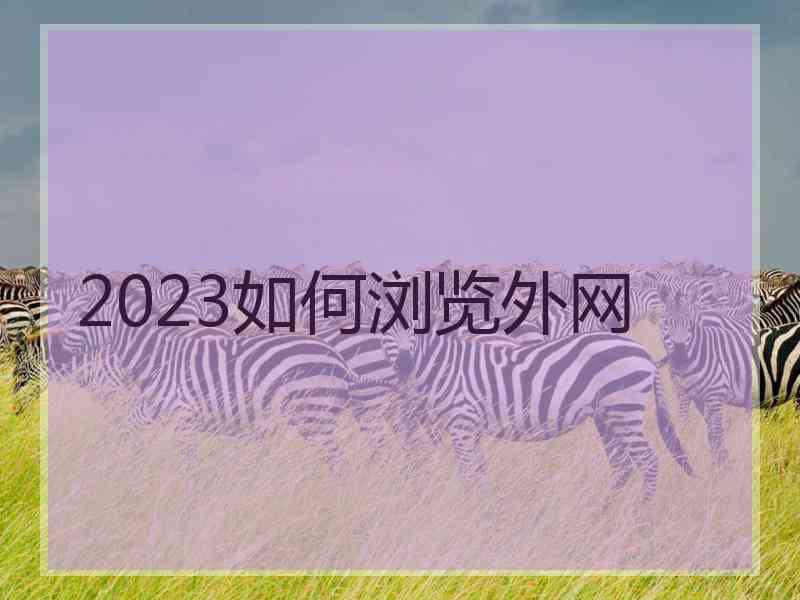 2023如何浏览外网