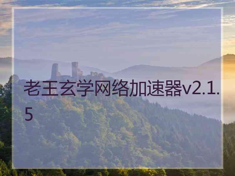 老王玄学网络加速器v2.1.5