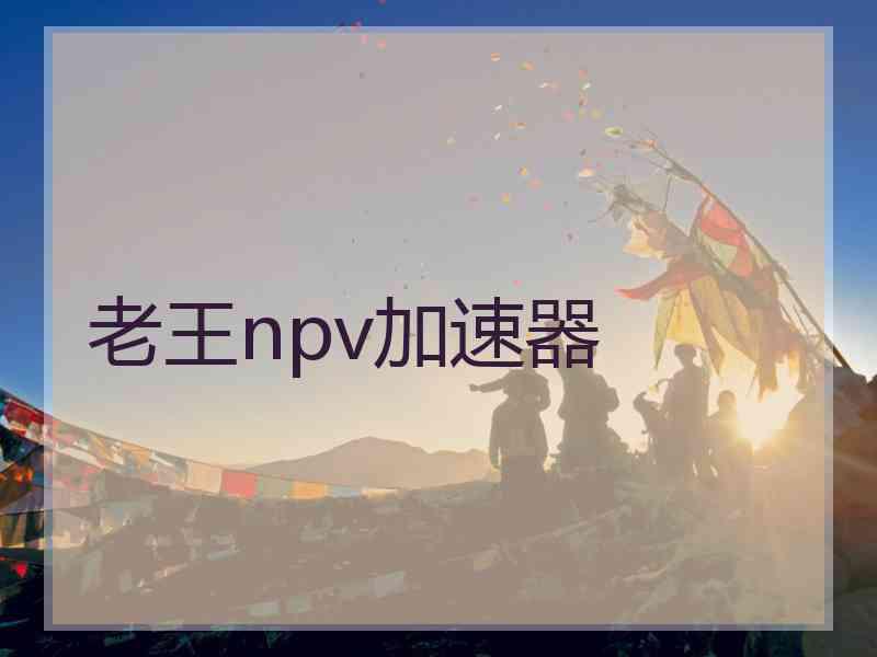 老王npv加速器