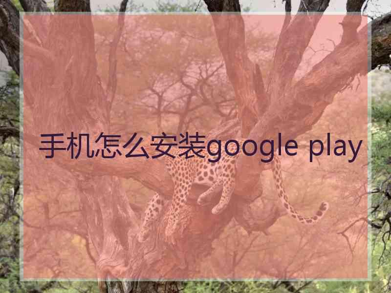 手机怎么安装google play