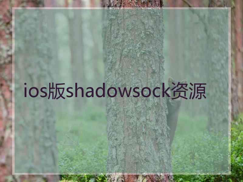 ios版shadowsock资源