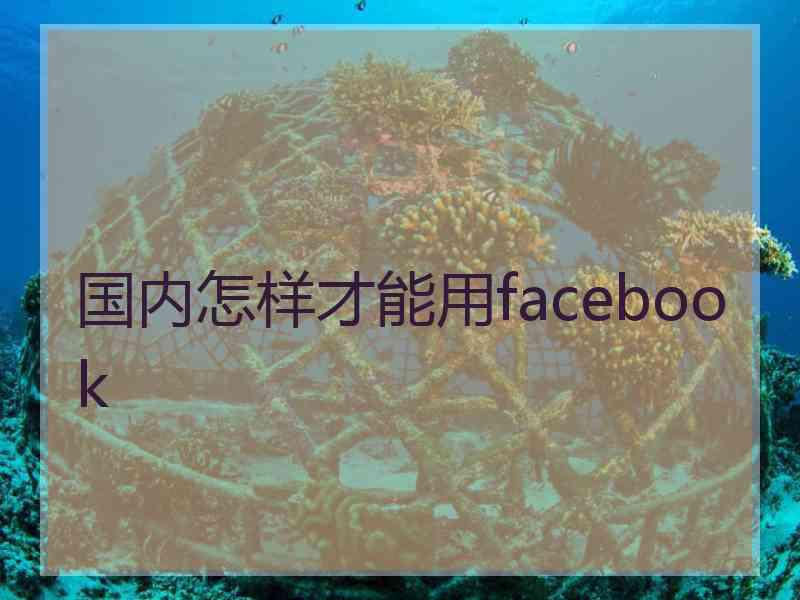 国内怎样才能用facebook