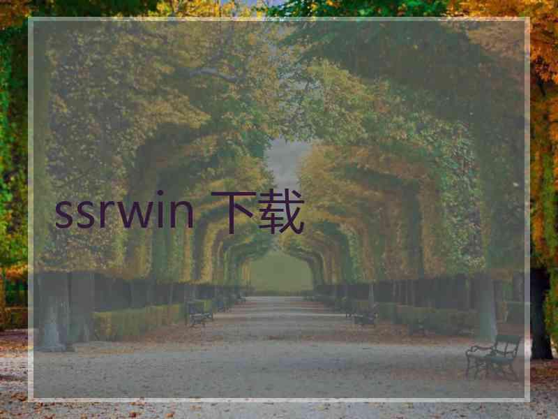 ssrwin 下载