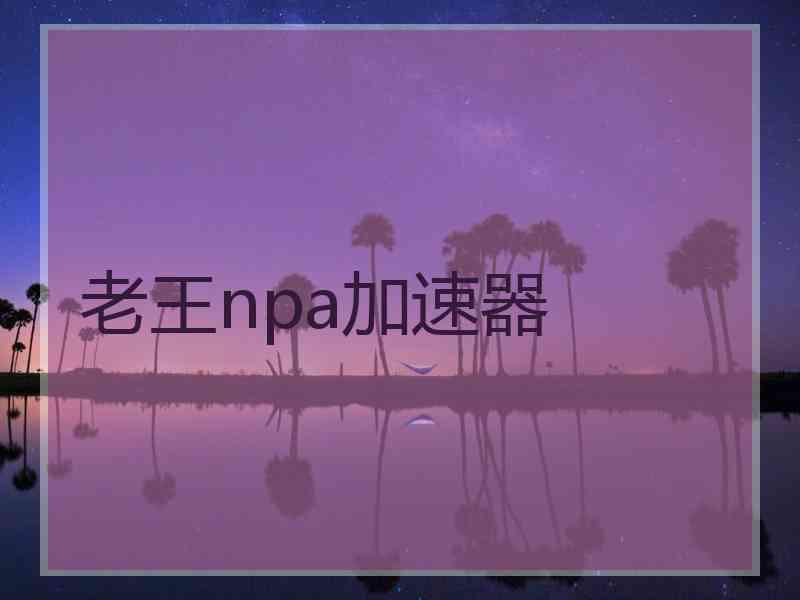 老王npa加速器