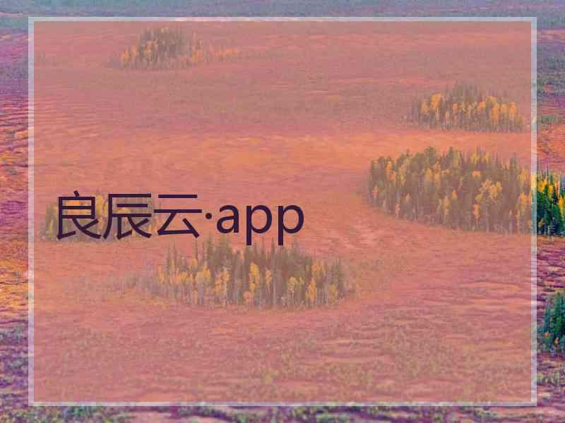 良辰云·app