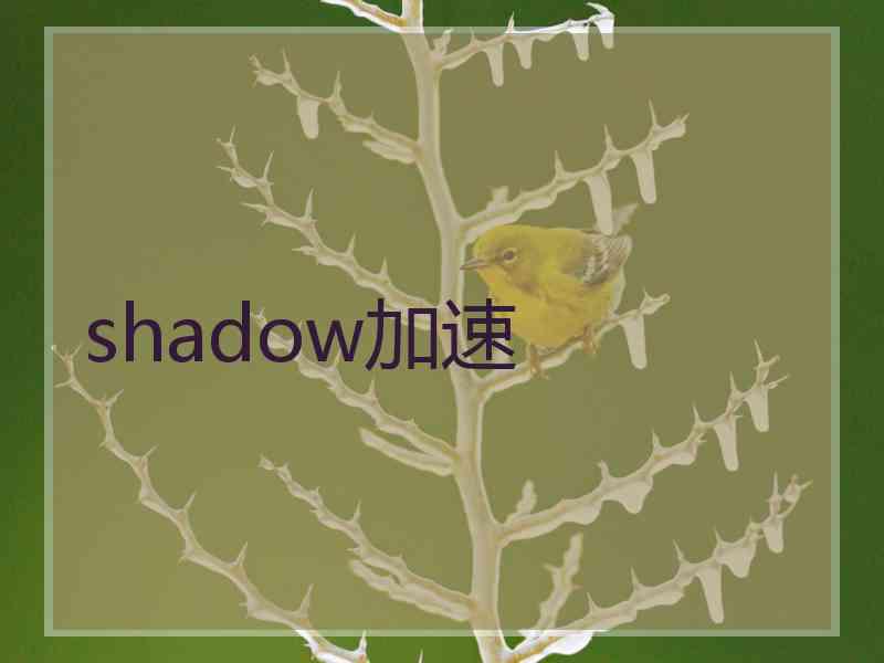 shadow加速