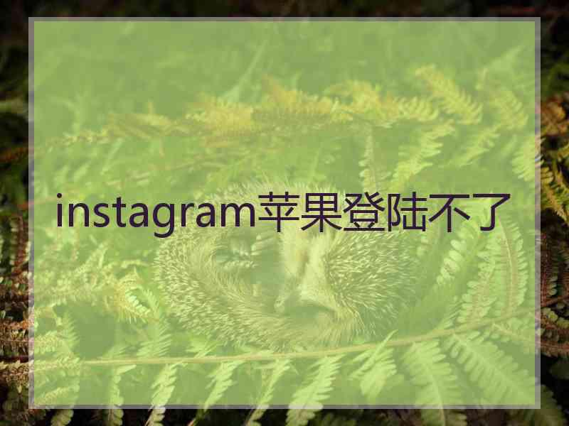 instagram苹果登陆不了