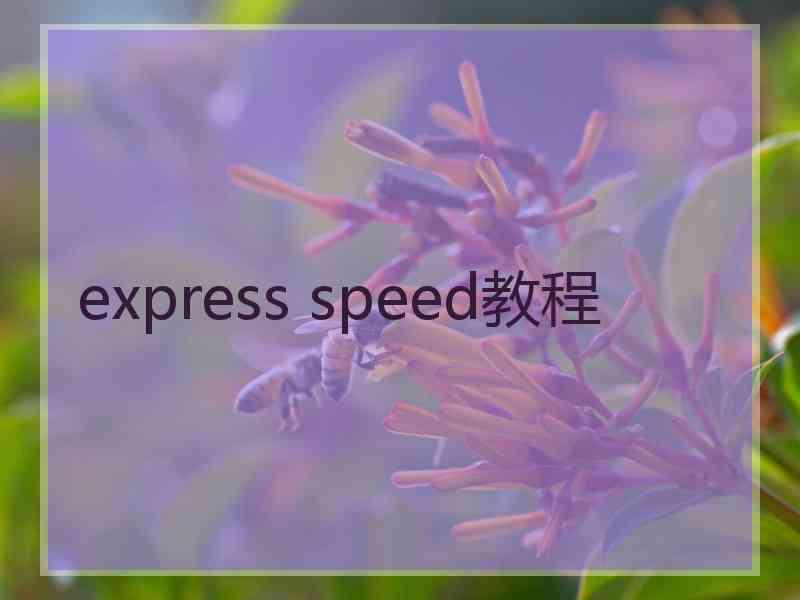 express speed教程