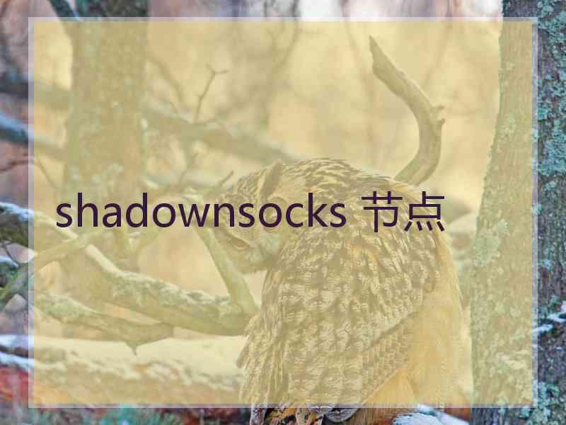 shadownsocks 节点