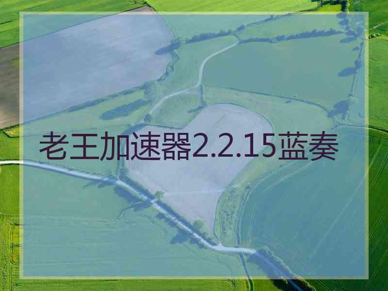 老王加速器2.2.15蓝奏