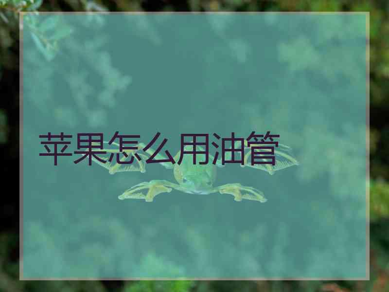 苹果怎么用油管